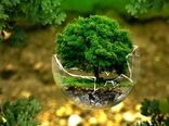 مانع پیش‌روی مدیریت منابع طبیعی مشکلات ساختاری و قانونی است