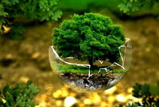 مانع پیش‌روی مدیریت منابع طبیعی مشکلات ساختاری و قانونی است