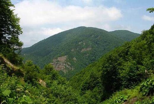  داستان تلخ سودای ثروت ، مرگ طبیعت 