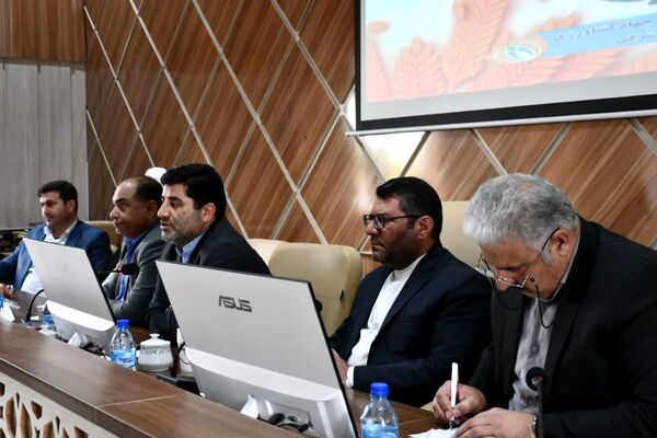 خرید بیش از چهار میلیون تن گندم در کشور