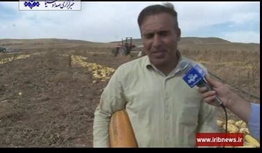 ثبت رکورد برداشت کدوآجیلی در دیواندره