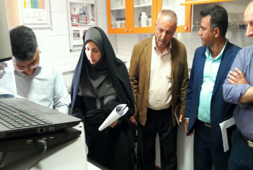 روزانه  ۱۰هزار تن گندم از کشاورزان استان خریداری می شود