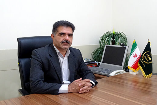 آغاز کاشت کنجد در کازرون
