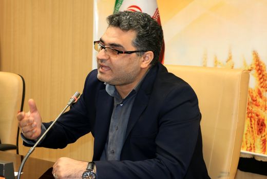 بیش از ۲۲ هزار تن بذر گندم اصلاح شده در کردستان تولید می شود
