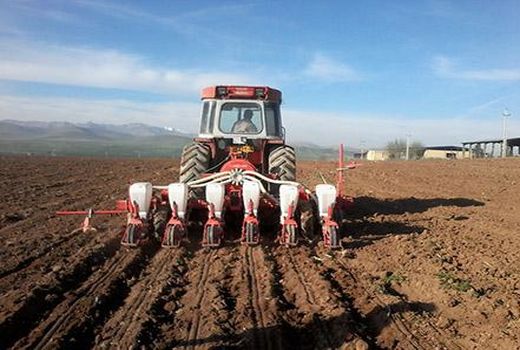 افزایش 200درصدی کشت چغندر قنددرشهرستان اردل