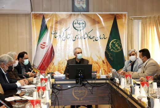 طرح جهش تولید در دیمزارهای کردستان ۹۰ درصد پیشرفت فیزیکی دارد