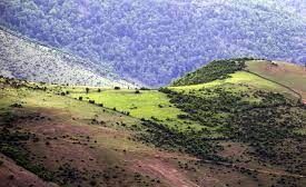 نظارت بر اجرای طرح های مرتع داری در فارس