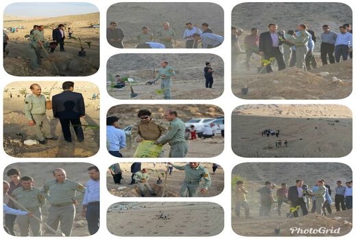 پارک جنگلی چَغان لارستان درختکاری شد
