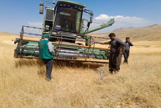 افزایش 37 درصدی خرید تضمینی گندم در آذربایجان شرقی