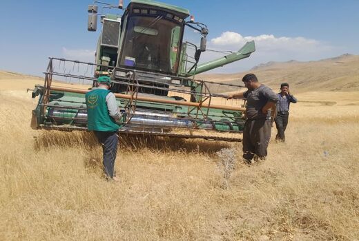افزایش 37 درصدی خرید تضمینی گندم در آذربایجان شرقی