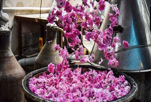 نخستین جشنواره گلاب‌گیری در روستای امروله سنندج برگزار می‌شود