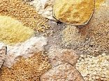 بازنگری در فرآیندهای تأمین نهاده‌ها؛ ضرورت امروز زنجیره تولید است