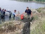 آغاز رهاسازی بچه‌ ماهیان گرمابی در منابع آبی استان آذربایجان‌غربی