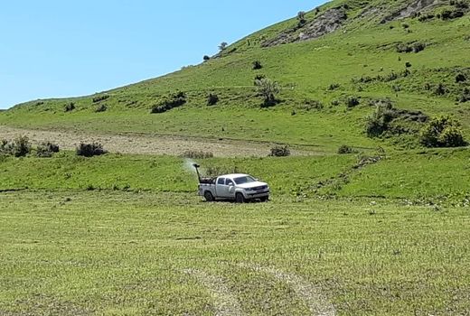 مبارزه با آفت عمومی ملخ در شهرستان ورزقان