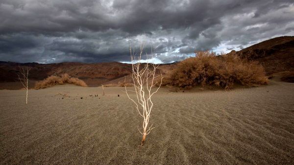 در تنگنای اقلیم؛ کاهش بارندگی و طوفانهای تخریبی