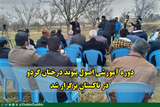 دوره آموزشی اصول پیوند درختان گردو در تاکستان