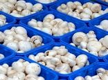 چهار نرخ پر مصرف مشمول قیمت‌گذاری شد