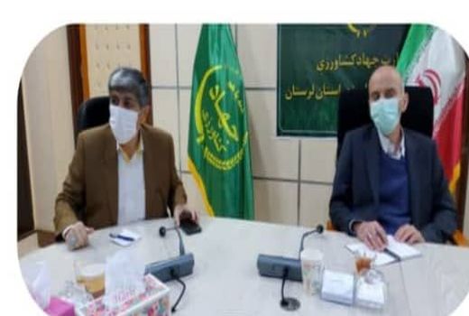  ۴۰ درصد اقتصاد و اشتغال لرستان وابسته به کشاورزی است