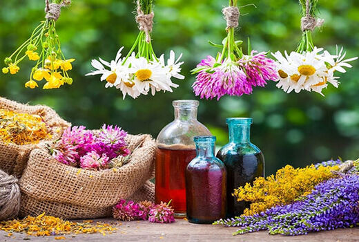 خلاقیت نیکبخت، عامل خروج تعاون روستایی از بحران