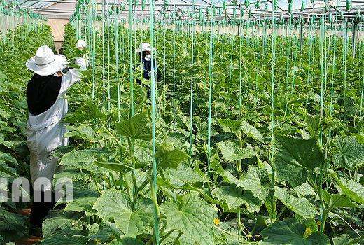 اهمیت حضور خبرگان بومی در کنار متخصصان