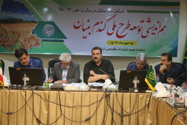 طرح ملی گندم بنیان در اولویت کار مراکز تحقیقات استان خوزستان است