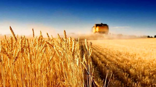 حرکت به سوی مدیریت مبتنی بر نتایج با افزایش سه گانه کارآیی، اثربخشی و بهرهوری
