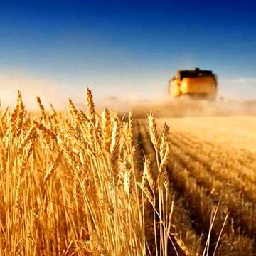 حرکت به سوی مدیریت مبتنی بر نتایج با افزایش سه‌ گانه کارآیی، اثربخشی و بهره‌وری