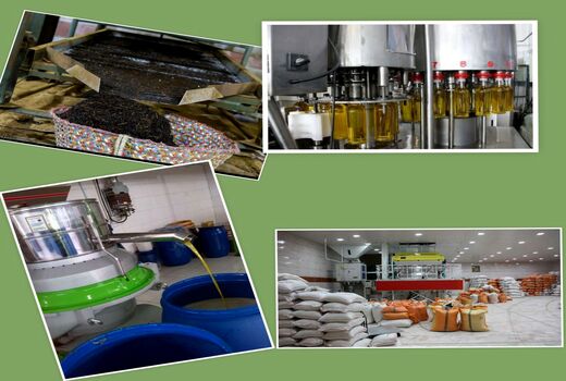 رونق تولید با افزایش ظرفیت های اشتغال محقق می شود