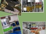 رونق تولید با افزایش ظرفیت های اشتغال محقق می شود