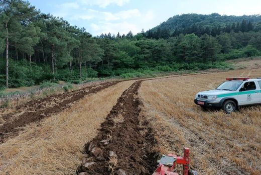 احداث تاکنون 797 کیلومتر آتش‌ بر حدفاصل زمین کشاورزی و عرصه‌های ملی در گلستان 