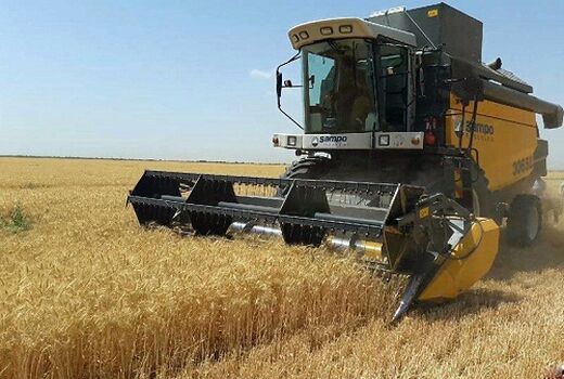 برداشت گندم فارس تا نیمه شهریور ماه ادامه دارد 