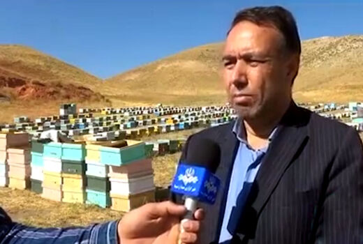 اولین جشن برداشت عسل  در شهرستان هشترود برگزار شد