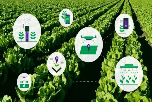 نخستین گام تحول در اطلاع‌رسانی کشاورزی با آموزش تولید محتوا در سازمان تات برداشته شد