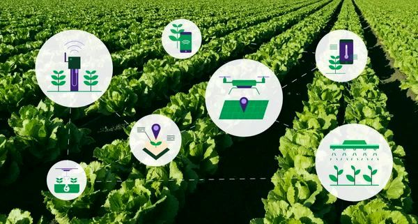 نخستین گام تحول در اطلاع‌رسانی کشاورزی با آموزش تولید محتوا در سازمان تات برداشته شد