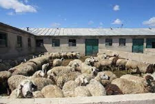 سم‌پاشی اماکن دامی حوضه آبریز کرخه با تراکتورهای سم‌پاش