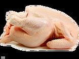 واردات مرغ طی دو سال به صفر رسید