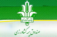 قرض پنج هزار میلیارد تومانی صندوق بیمه را دولت گردن گرفت/ صندوق بیمه ریالی اعتبار دریافت نکرده است