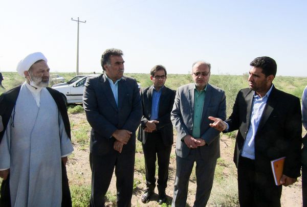 مقابله با دو کانون آفت ملخهای مهاجم به مساحت ۲۲ هکتار در شهرستان زیرکوه