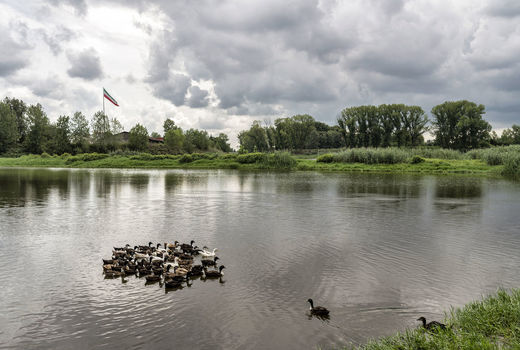 تالاب عینک رشت
