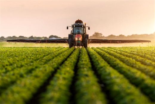 طرح‌های کشاورزی اراضی واگذار شده ملی در شهرستان بوشهر بازدید شدند