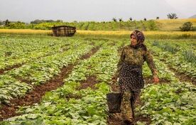 فعالیت ۶.۵ میلیون زن روستایی در خط مقدم امنیت غذایی کشور/جهان بدون میراث ناملموس، جهانِ تباهی است