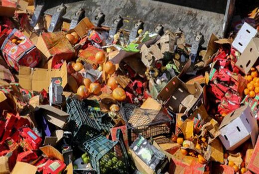 برگزاری کارگاه مبارزه قاچاق کالا و ارز در جهاد کشاورزی شهرستان دامغان