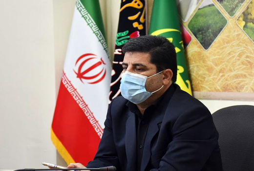 استان آذربایجان شرقی رتبه اول طرح توسعه گلخانه ها در سطح کشور