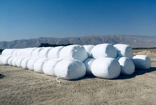 راه اندازی اولین ایستگاه بسته بندی ذرت علوفه ای قیروکارزین