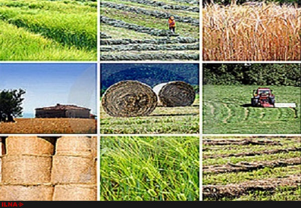 تخصیص 67 میلیارد تومان با هدف استمهال تسهیلات بانکی کشاورزان