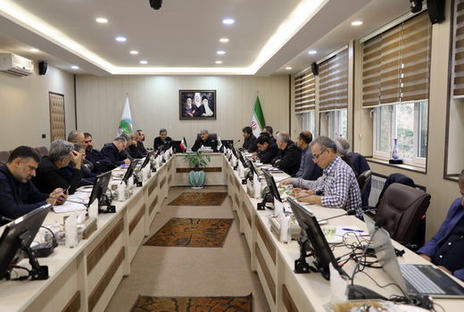 سی و نهمین جلسه ستاد اجرای طرح های آبخیزداری در سازمان جنگل ها برگزار شد