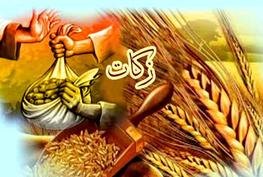 کشاورزان شهرستان قدس امسال 150 میلیون ریال زکات پرداخت کردند