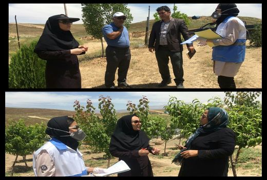 نظارت بر عدم استفاده از آب‌های نامتعارف در کشت محصولات کشاورزی الزامی است