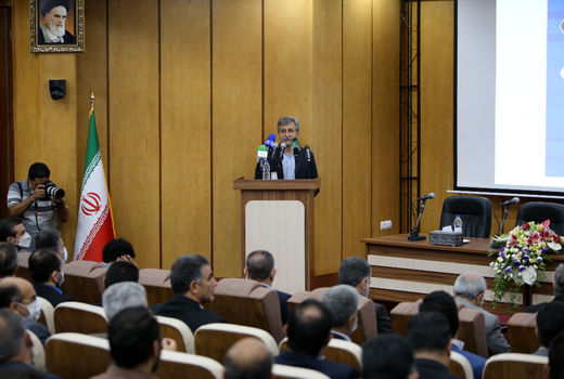 طرح توسعه کشت در دیم زارها به ۵ میلیون هکتار می رسد