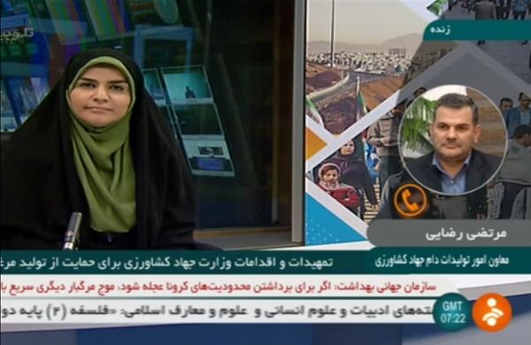 خرید روزانه 1700 تن مرغ مازاد برای حمایت از مرغداران کشور